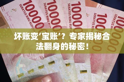 北京坏账变‘宝账’？专家揭秘合法翻身的秘密！