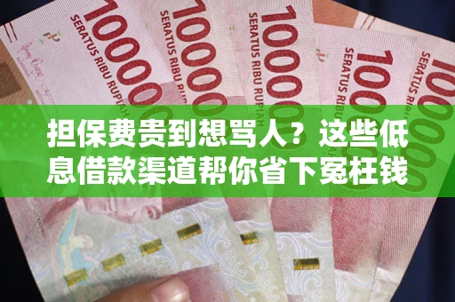 北京担保费贵到想骂人？这些低息借款渠道帮你省下冤枉钱