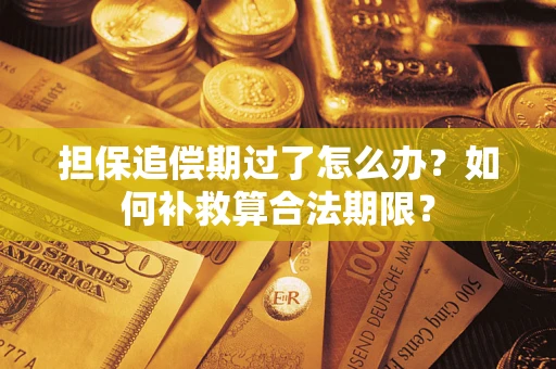 北京担保追偿期过了怎么办？如何补救算合法期限？