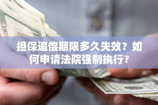 北京担保追偿期限多久失效？如何申请法院强制执行？
