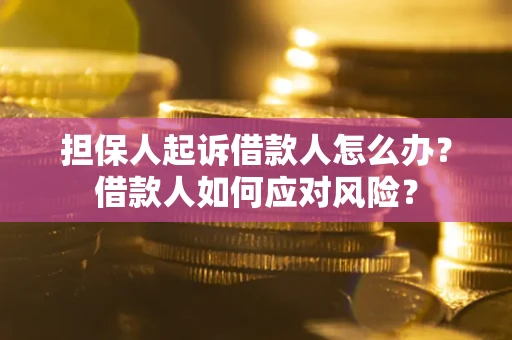 北京担保人起诉借款人怎么办？借款人如何应对风险？