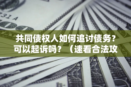 北京共同债权人如何追讨债务？可以起诉吗？（速看合法攻略）